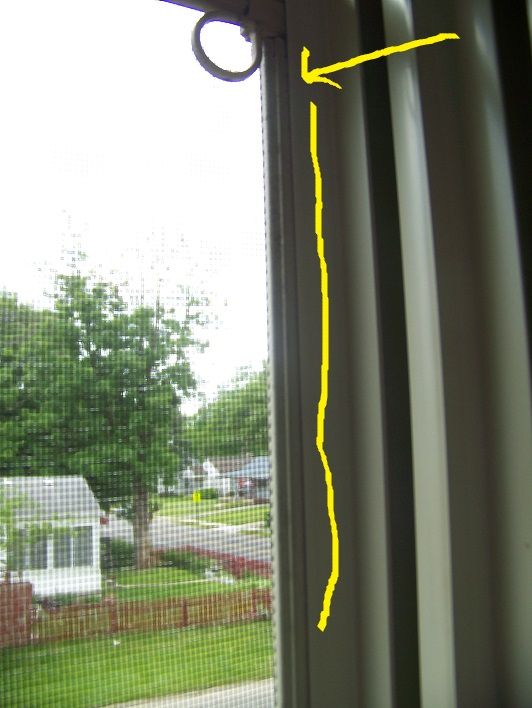 How to remove these window screens? Community Forums